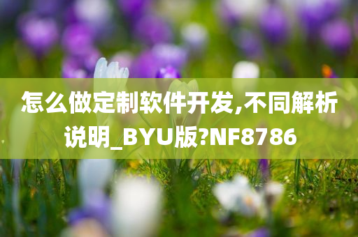 怎么做定制软件开发,不同解析说明_BYU版?NF8786