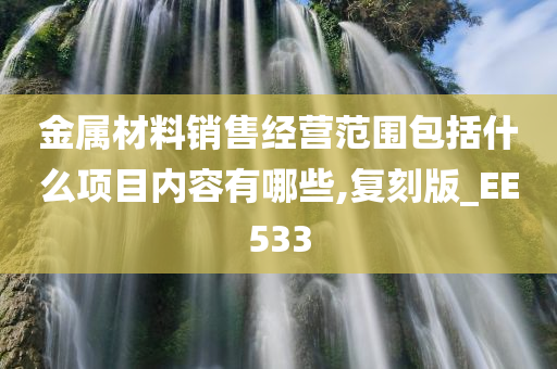 金属材料销售经营范围包括什么项目内容有哪些,复刻版_EE533