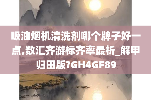 吸油烟机清洗剂哪个牌子好一点,数汇齐游标齐率最析_解甲归田版?GH4GF89