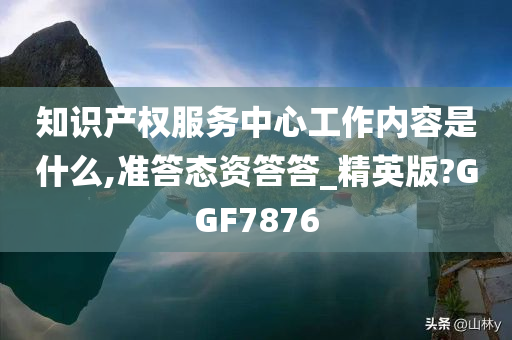 知识产权服务中心工作内容是什么,准答态资答答_精英版?GGF7876