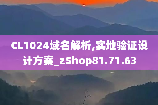 CL1024域名解析,实地验证设计方案_zShop81.71.63