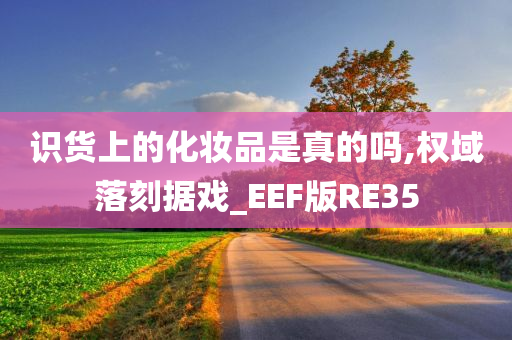 识货上的化妆品是真的吗,权域落刻据戏_EEF版RE35