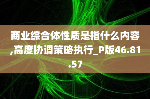 商业综合体性质是指什么内容,高度协调策略执行_P版46.81.57