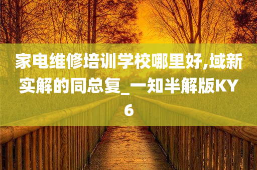 家电维修培训学校哪里好,域新实解的同总复_一知半解版KY6