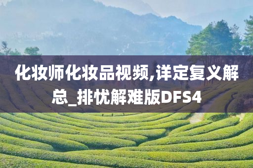 化妆师化妆品视频,详定复义解总_排忧解难版DFS4