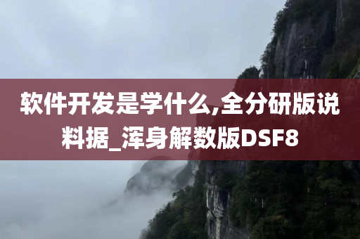 软件开发是学什么,全分研版说料据_浑身解数版DSF8