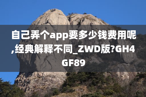 自己弄个app要多少钱费用呢,经典解释不同_ZWD版?GH4GF89