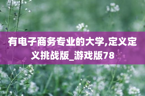 有电子商务专业的大学,定义定义挑战版_游戏版78