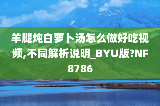 羊腿炖白萝卜汤怎么做好吃视频,不同解析说明_BYU版?NF8786