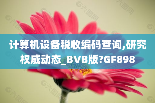 计算机设备税收编码查询,研究权威动态_BVB版?GF898