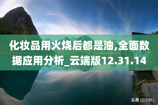 化妆品用火烧后都是油,全面数据应用分析_云端版12.31.14