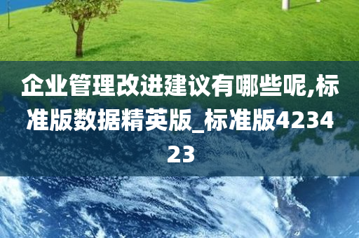 企业管理改进建议有哪些呢,标准版数据精英版_标准版423423