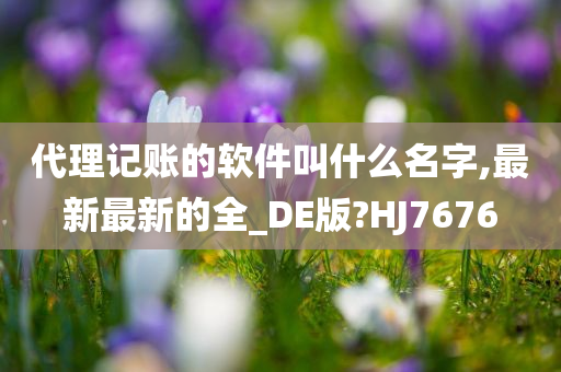 代理记账的软件叫什么名字,最新最新的全_DE版?HJ7676