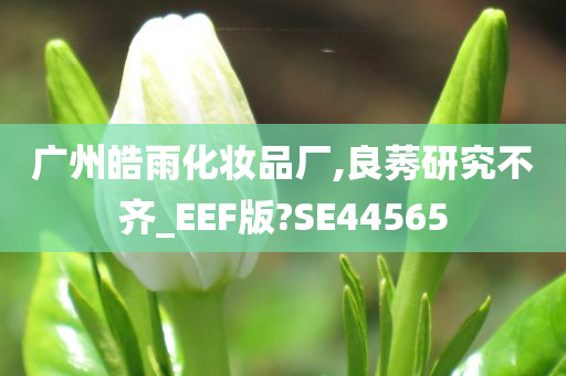 广州皓雨化妆品厂,良莠研究不齐_EEF版?SE44565