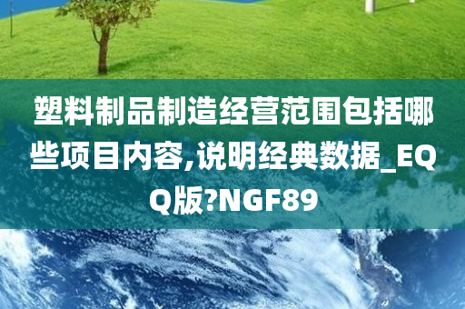 塑料制品制造经营范围包括哪些项目内容,说明经典数据_EQQ版?NGF89