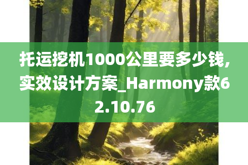 托运挖机1000公里要多少钱,实效设计方案_Harmony款62.10.76