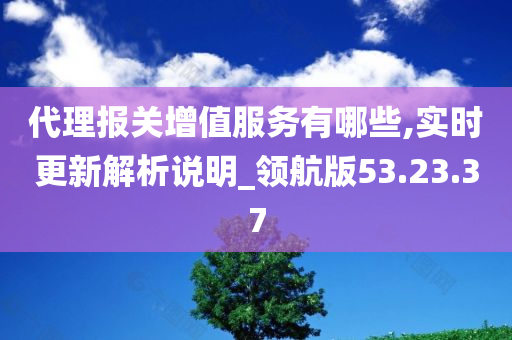 代理报关增值服务有哪些,实时更新解析说明_领航版53.23.37