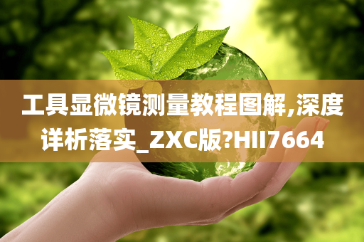 工具显微镜测量教程图解,深度详析落实_ZXC版?HII7664