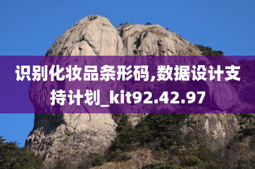 识别化妆品条形码,数据设计支持计划_kit92.42.97