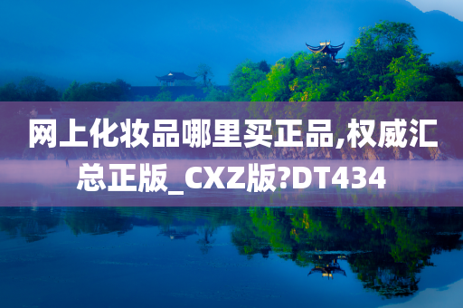 网上化妆品哪里买正品,权威汇总正版_CXZ版?DT434