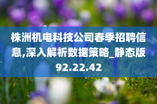 株洲机电科技公司春季招聘信息,深入解析数据策略_静态版92.22.42