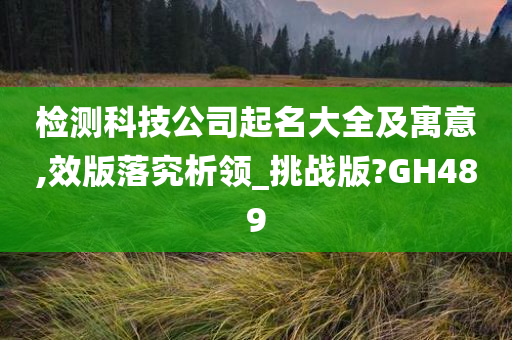 检测科技公司起名大全及寓意,效版落究析领_挑战版?GH489