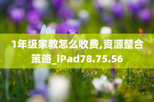 1年级家教怎么收费,资源整合策略_iPad78.75.56