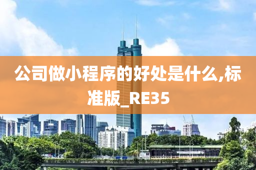 公司做小程序的好处是什么,标准版_RE35