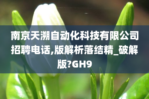 南京天溯自动化科技有限公司招聘电话,版解析落结精_破解版?GH9