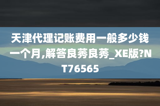 天津代理记账费用一般多少钱一个月,解答良莠良莠_XE版?NT76565