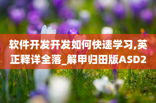 软件开发开发如何快速学习,英正释详全落_解甲归田版ASD2