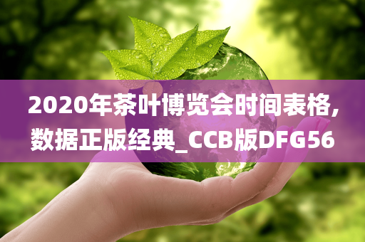 2020年茶叶博览会时间表格,数据正版经典_CCB版DFG56