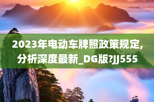 2023年电动车牌照政策规定,分析深度最新_DG版?JJ555