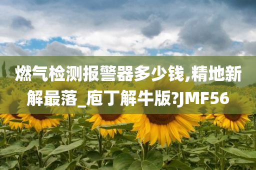 燃气检测报警器多少钱,精地新解最落_庖丁解牛版?JMF56