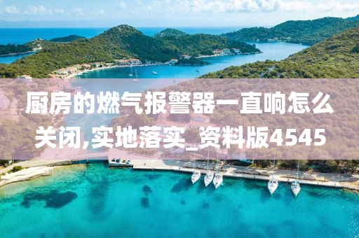 厨房的燃气报警器一直响怎么关闭,实地落实_资料版4545