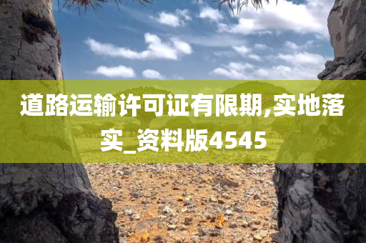 道路运输许可证有限期,实地落实_资料版4545