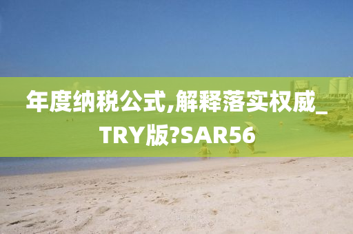 年度纳税公式,解释落实权威_TRY版?SAR56