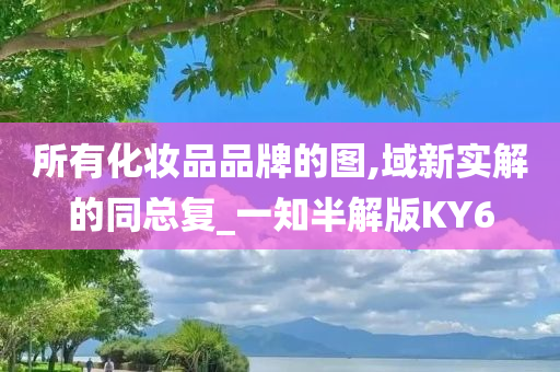 所有化妆品品牌的图,域新实解的同总复_一知半解版KY6