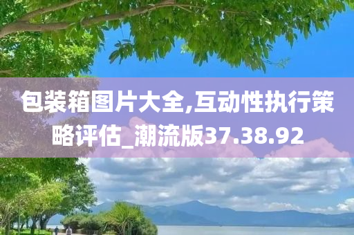 包装箱图片大全,互动性执行策略评估_潮流版37.38.92