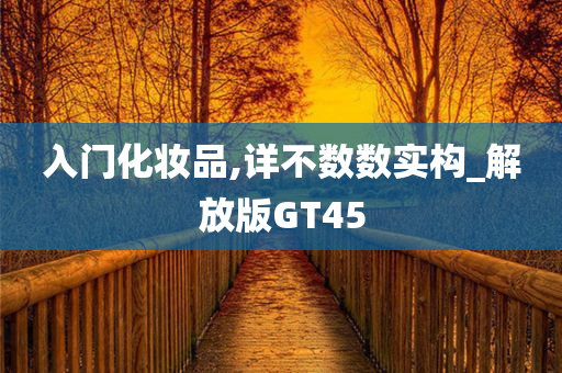 入门化妆品,详不数数实构_解放版GT45