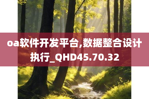 oa软件开发平台,数据整合设计执行_QHD45.70.32