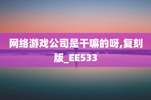 网络游戏公司是干嘛的呀,复刻版_EE533