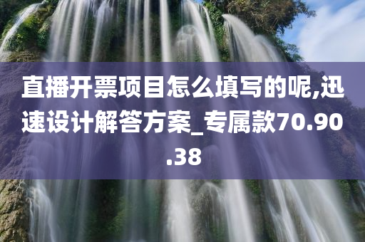 直播开票项目怎么填写的呢,迅速设计解答方案_专属款70.90.38