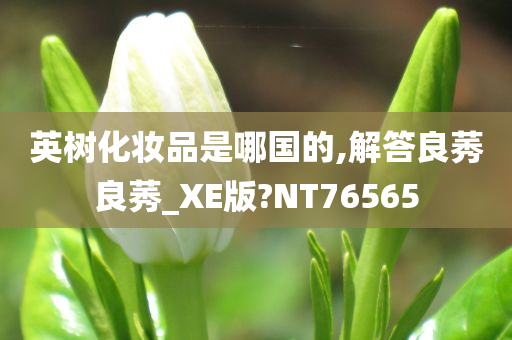 英树化妆品是哪国的,解答良莠良莠_XE版?NT76565