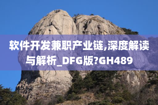 软件开发兼职产业链,深度解读与解析_DFG版?GH489