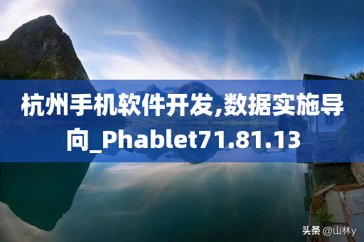 杭州手机软件开发,数据实施导向_Phablet71.81.13