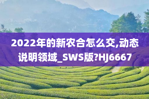 2022年的新农合怎么交,动态说明领域_SWS版?HJ6667