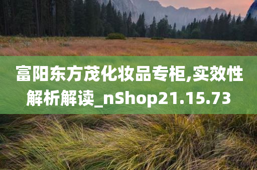 富阳东方茂化妆品专柜,实效性解析解读_nShop21.15.73