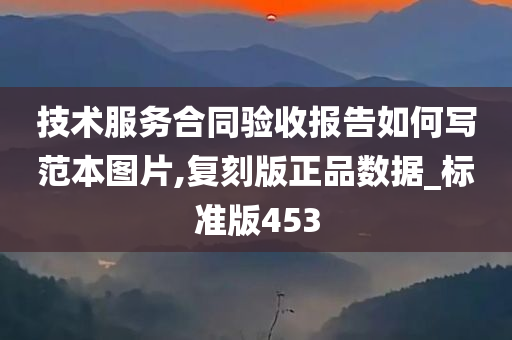 技术服务合同验收报告如何写范本图片,复刻版正品数据_标准版453