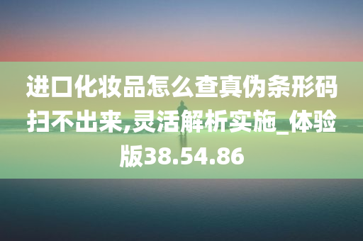 进口化妆品怎么查真伪条形码扫不出来,灵活解析实施_体验版38.54.86